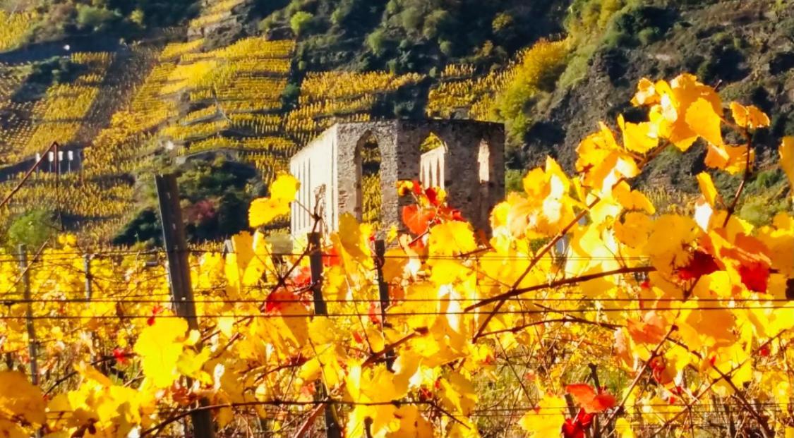 Ferienhaus Scheid ブレム エクステリア 写真